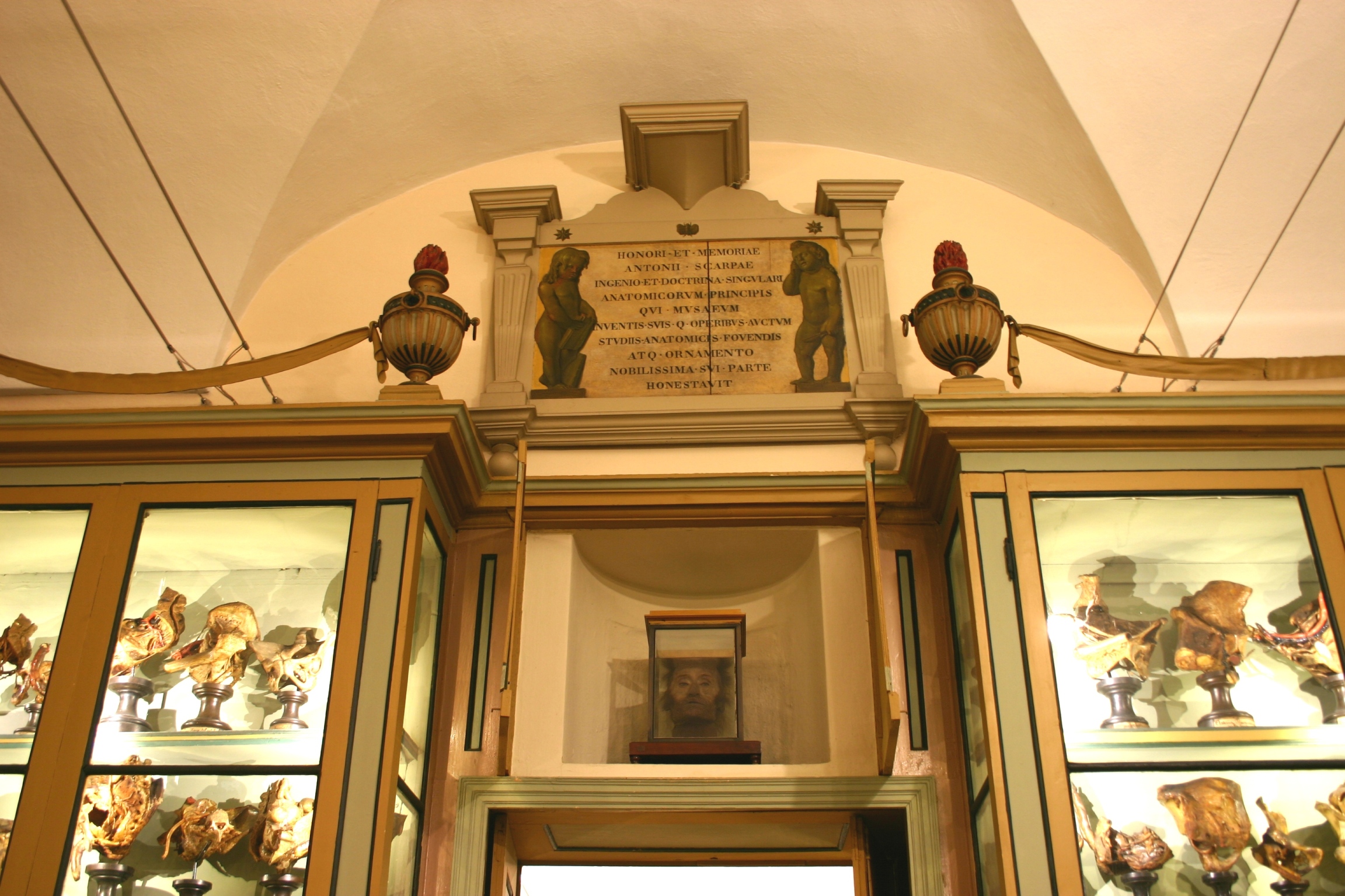 Antonio Scarpa's head, Museo per la Storia dell'Università, Pavia - 01.JPG